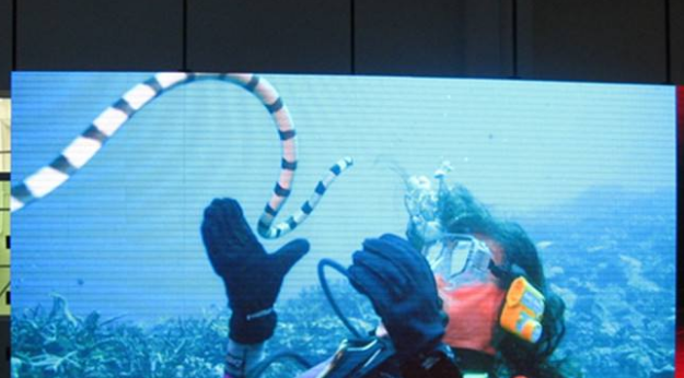 室內全彩led顯示屏